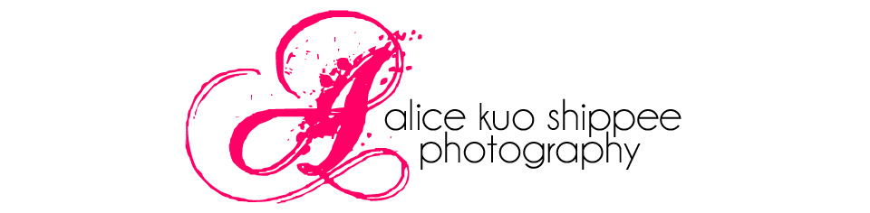 Alice Kuo Shippee Photography logo